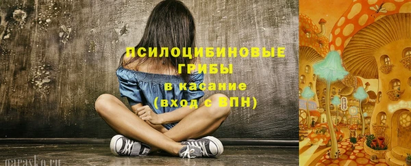 индика Алзамай