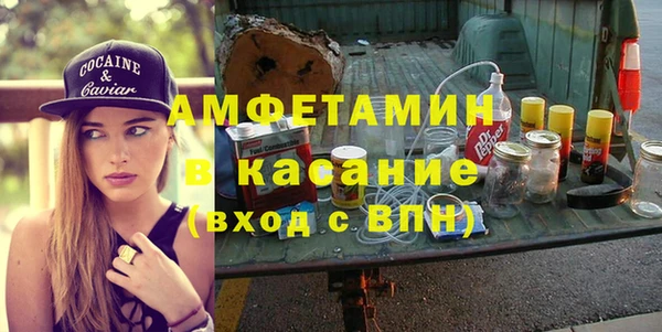 индика Алзамай