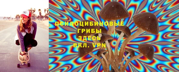 молекула духа Алексеевка