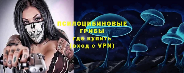 индика Алзамай