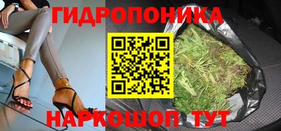 сатива Кимры