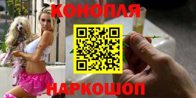 сатива Кимры