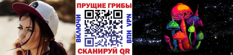 даркнет наркотические препараты  Кыштым  Галлюциногенные грибы MAGIC MUSHROOMS 