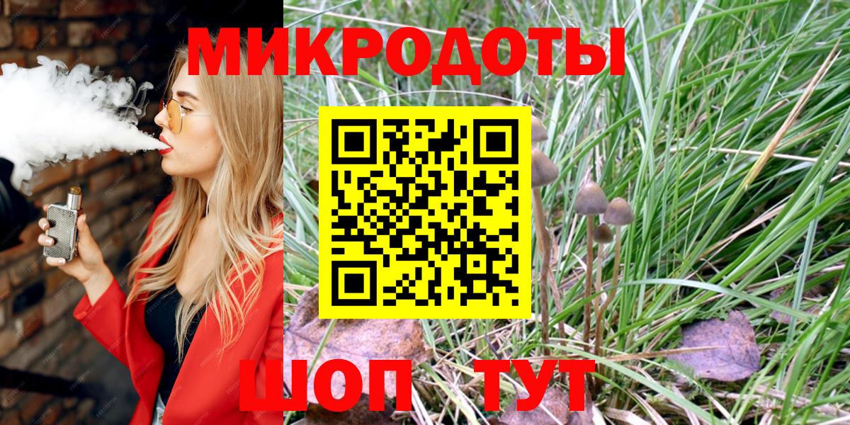 Псилоцибиновые грибы Psilocybe Кыштым