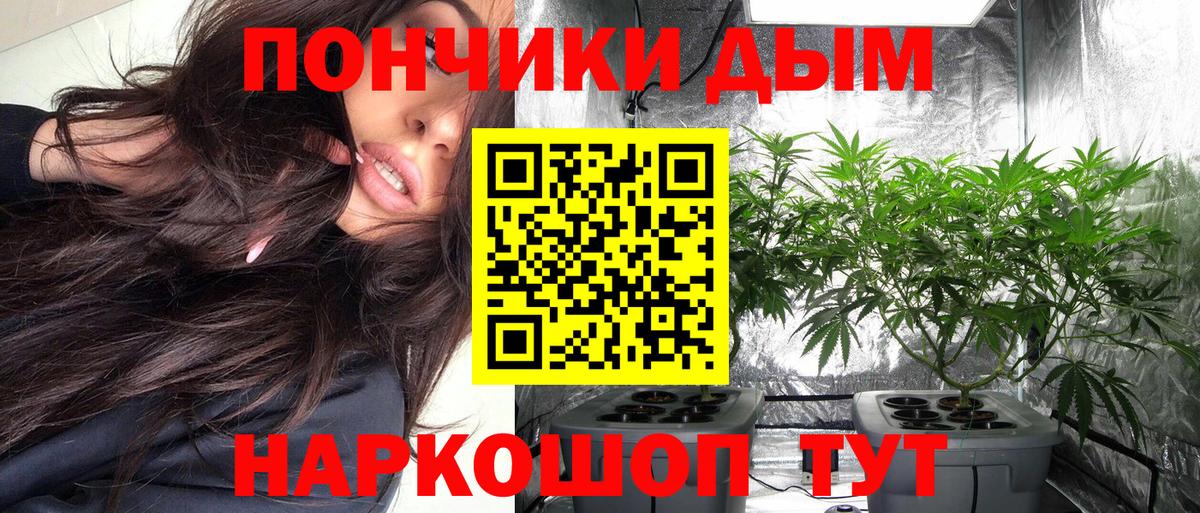 Каннабис конопля  Бошки Шишки Bruce Banner  Канабис ГИДРОПОН  Кыштым  Вход с VPN 